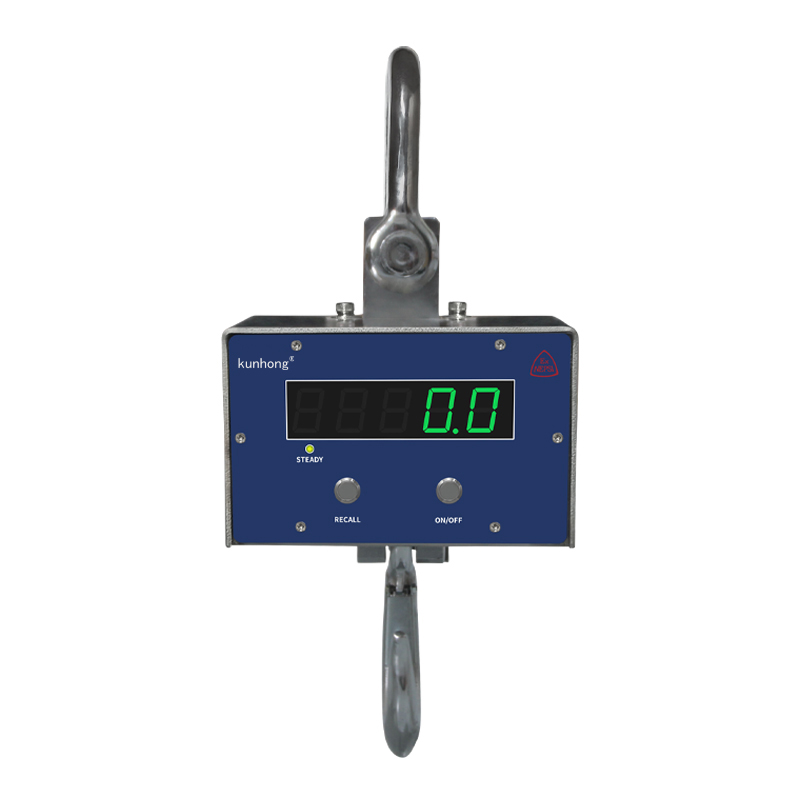 SCS Explosion-Proof Crane Scale