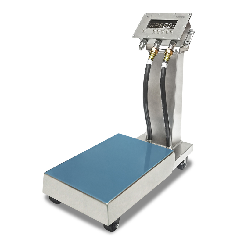 HTW-T-A2-304-4050 Complete Explosion-Proof Electronic Scale